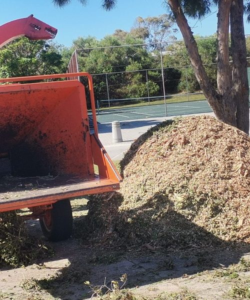 wood chipping port elizabeth